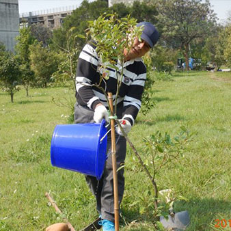 107年植樹週活動照( 6 張相片 )